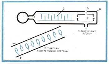 2230-7.jpg