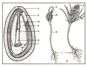 1560-12.jpg