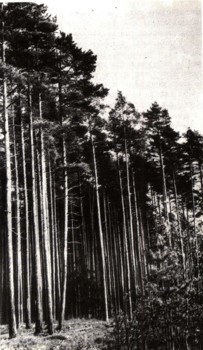 1670-4.jpg