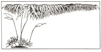 1780-2.jpg