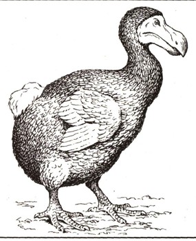 2540-2.jpg