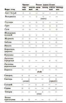 2660-1.jpg