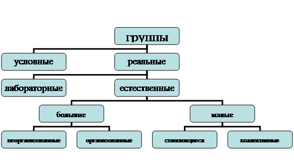 Организационная диаграмма