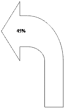  :    45%&#13;&#10;