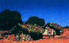 Sakalava-м.gif (6397 bytes)
