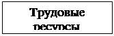 Подпись: Трудовые ресурсы