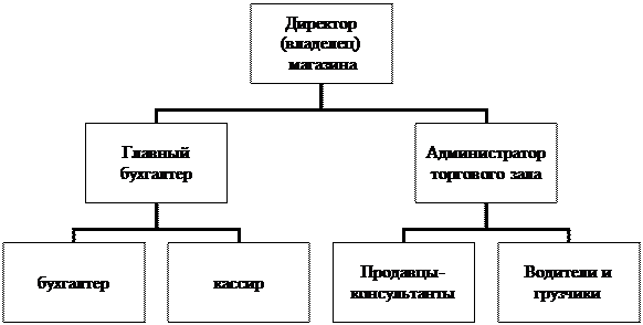 Организационная диаграмма