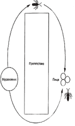 Рис. 2.